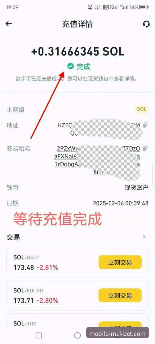新手必看！Melbet手机客户端使用心得：从下载到投注的完整指南
